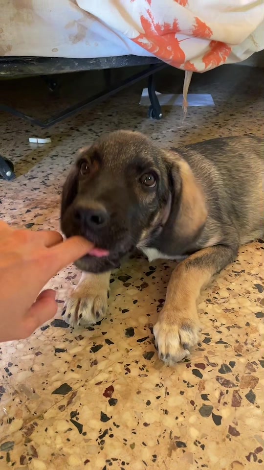 @CuteCat