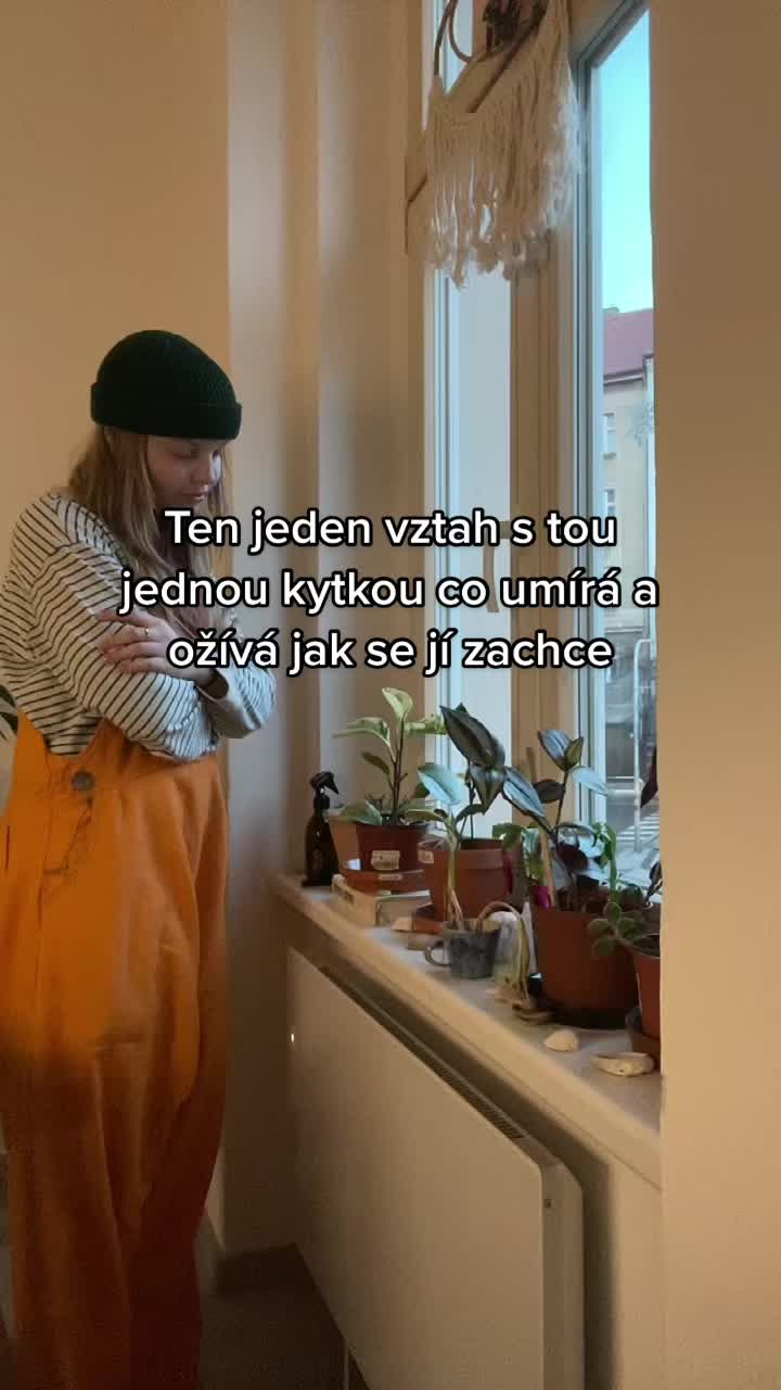 @Stefi Kaleta