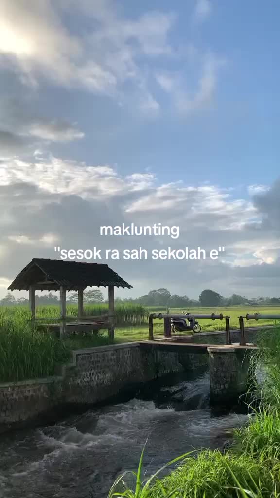 @elsaaaaaaaaaaa