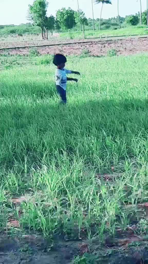 @sekarpriya