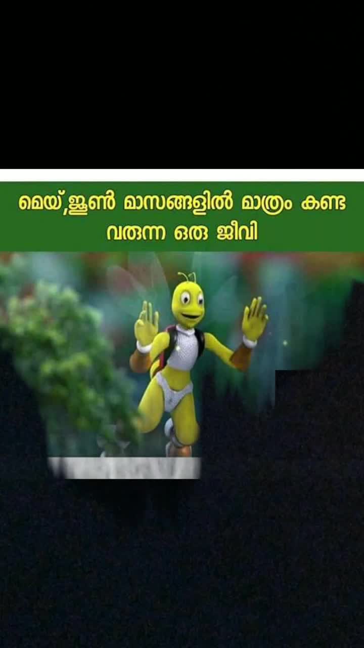 @Abhijith vimalkumar