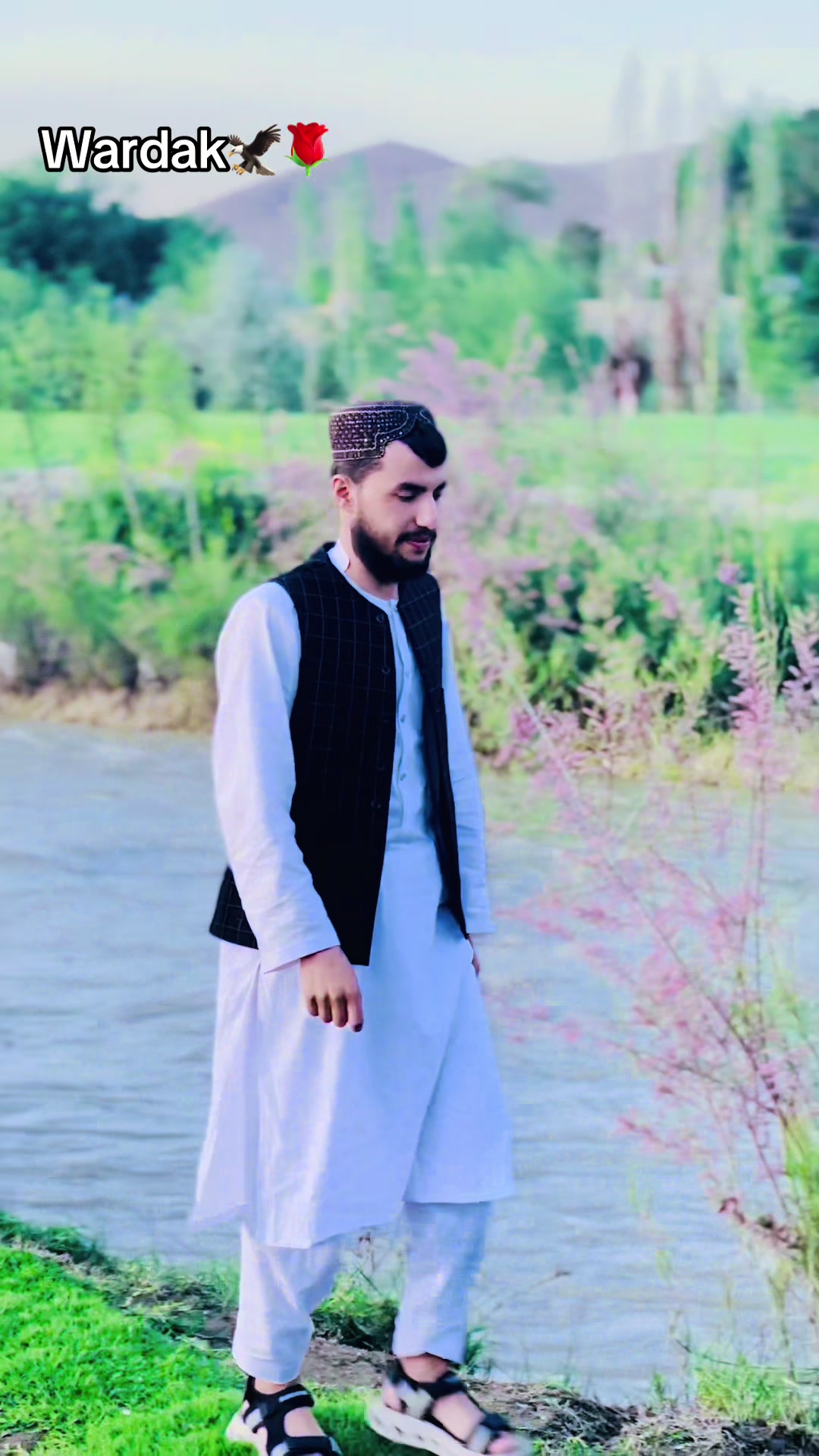 @Mayar Wardak—🦅