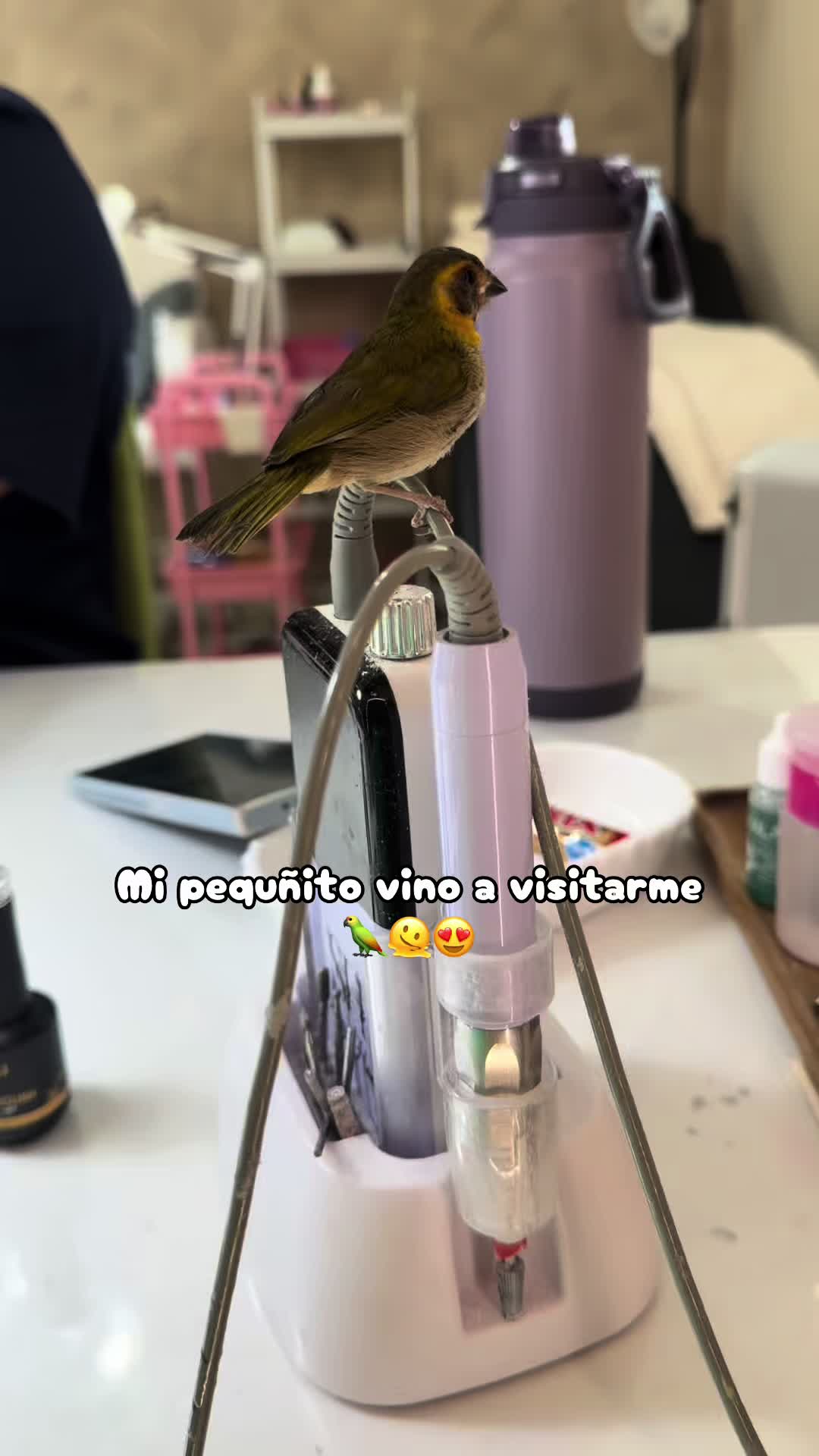 @dai_nails_artist