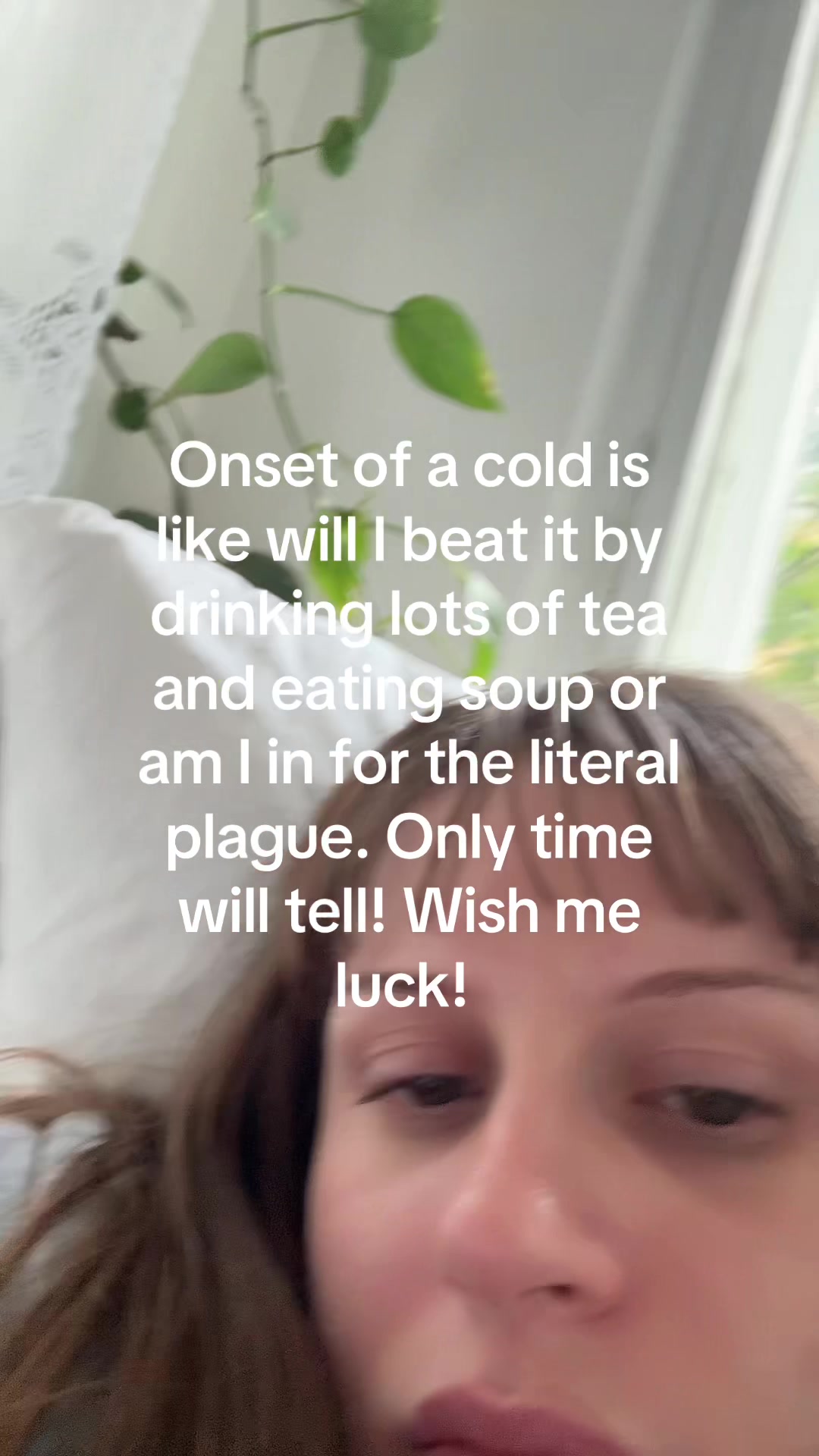 @codie shade