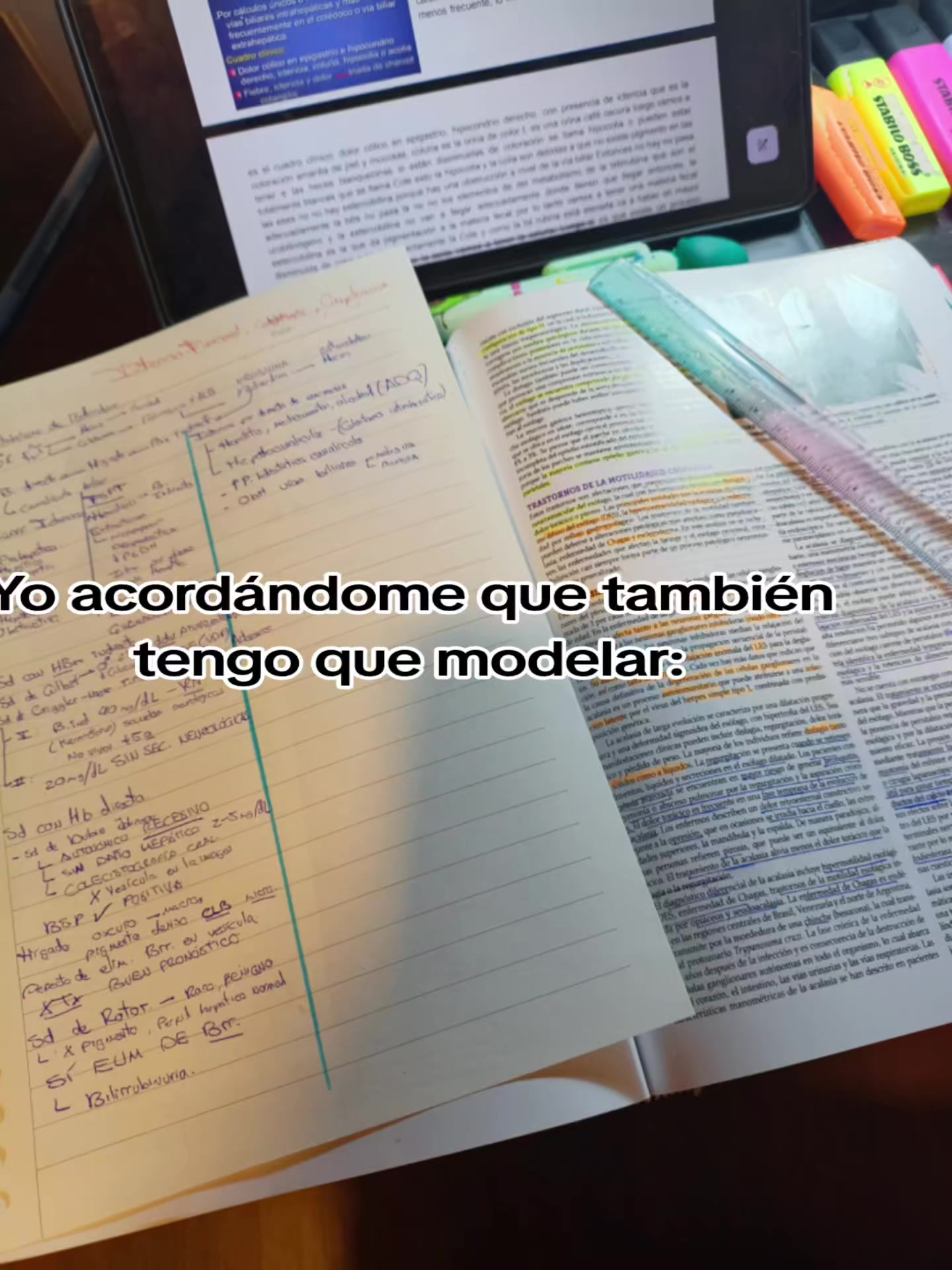 @Maite H Rojas
