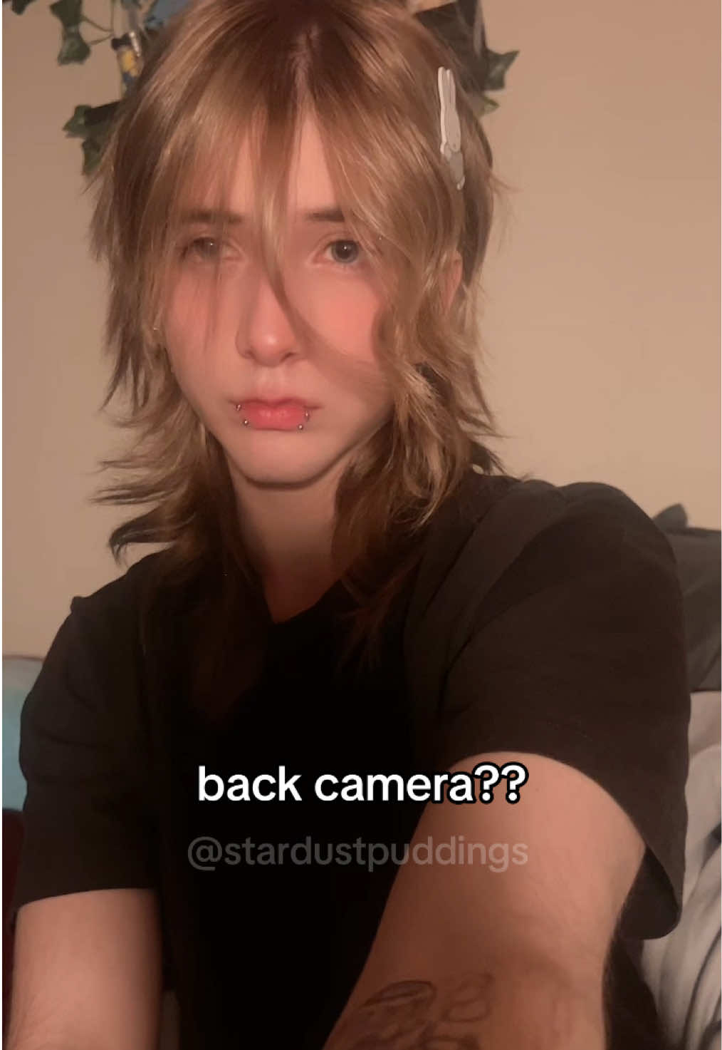 @stardustpuddings