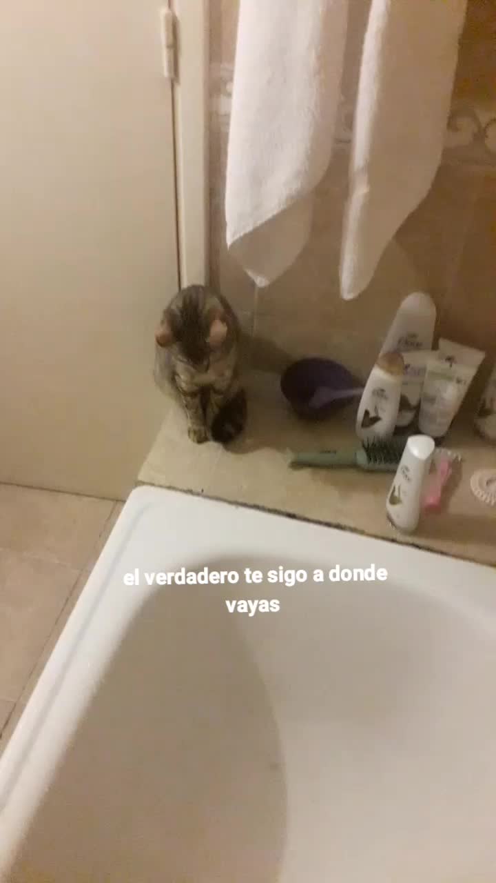 @fabianabeo7
