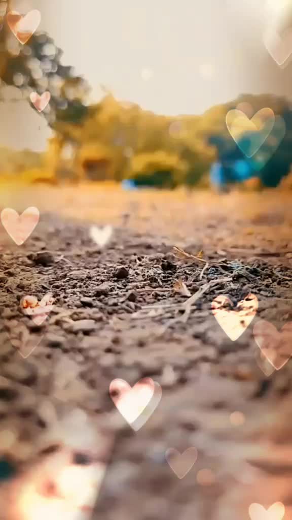 @Ashrafbhai113