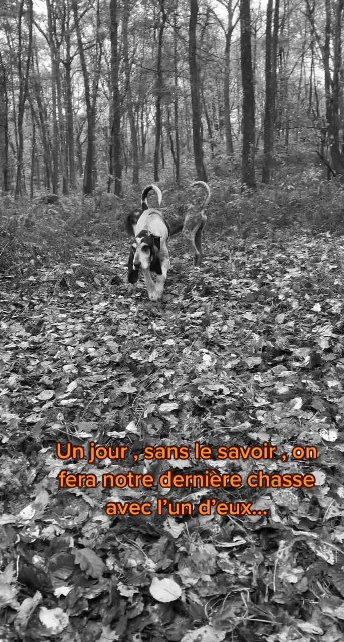 @chasseresses_boisclairs