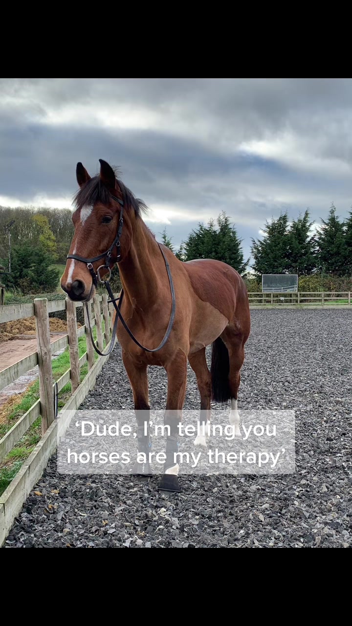 @ypequestrian