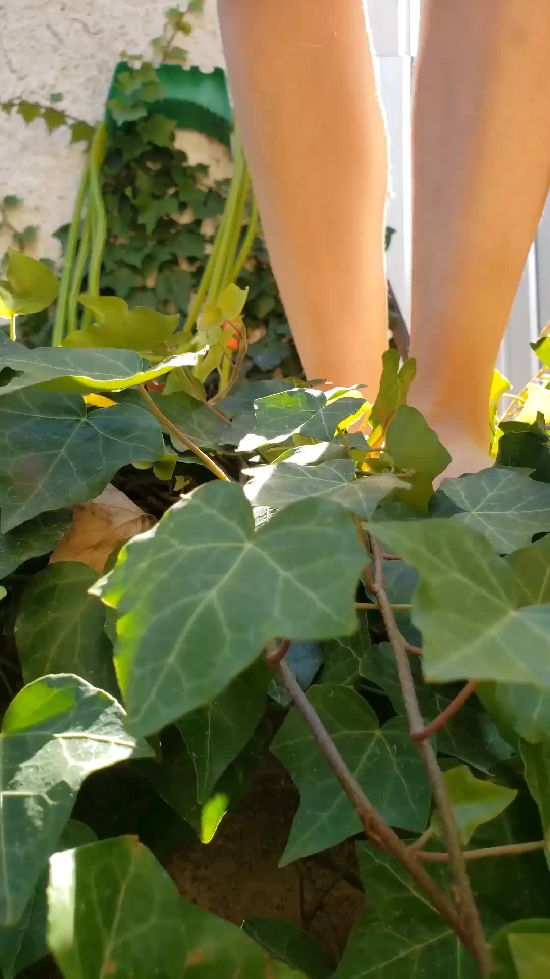 @damaaventurera1