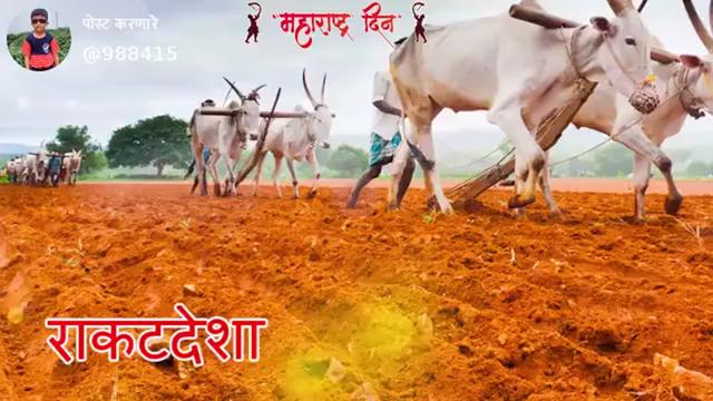 @Kamlesh Patil