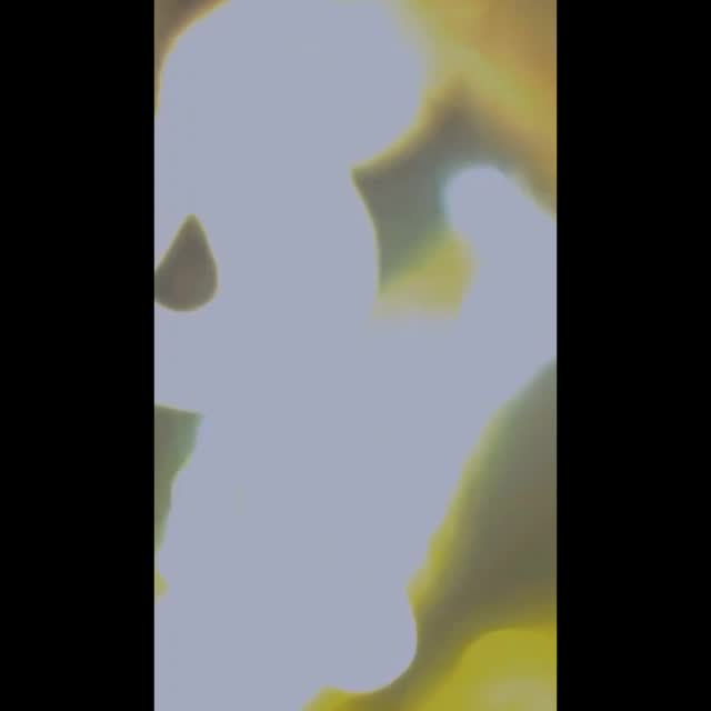 @قراۃالعین حارث🤍