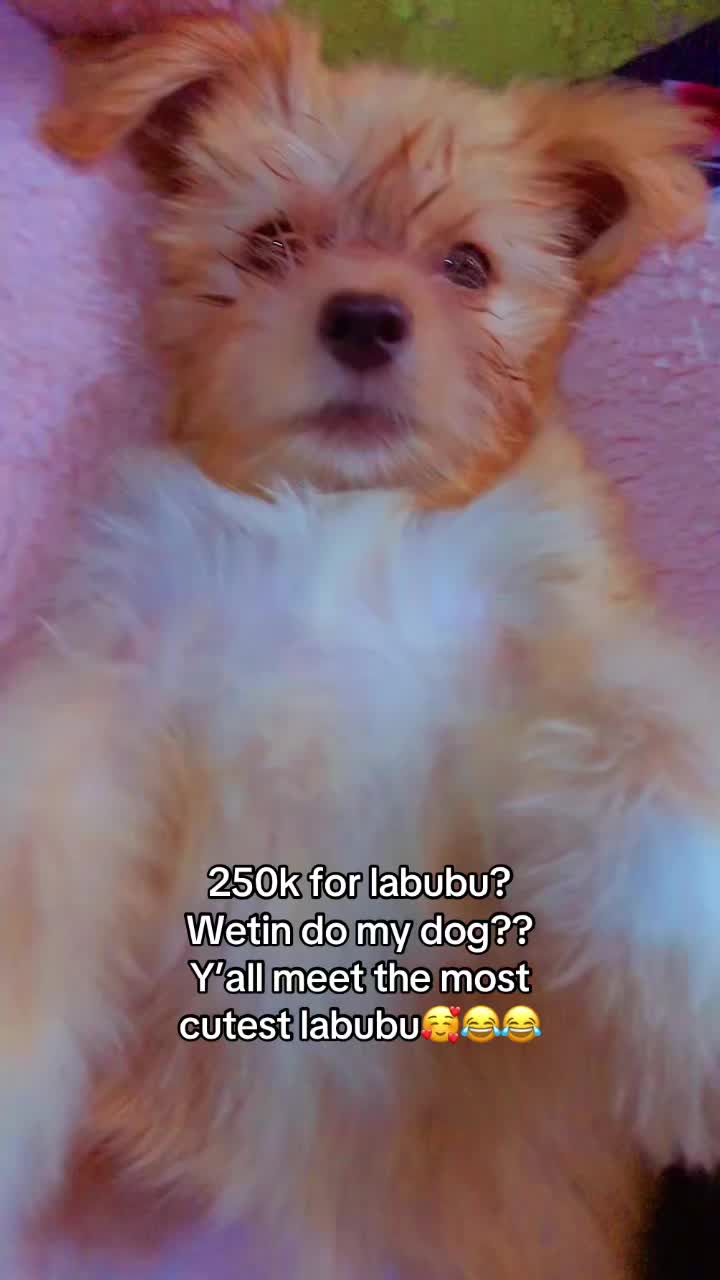 @Shez_sarah