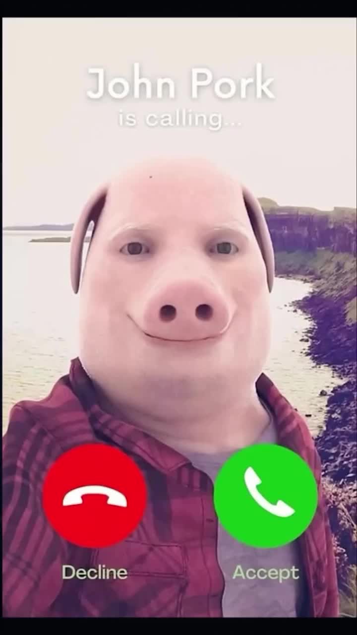 @Know Your Meme