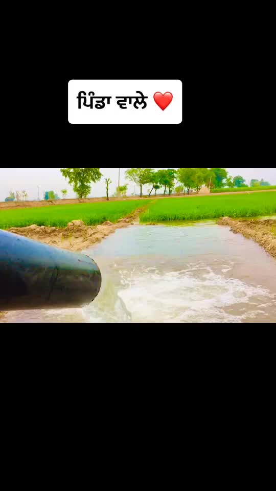 @چیما سمان