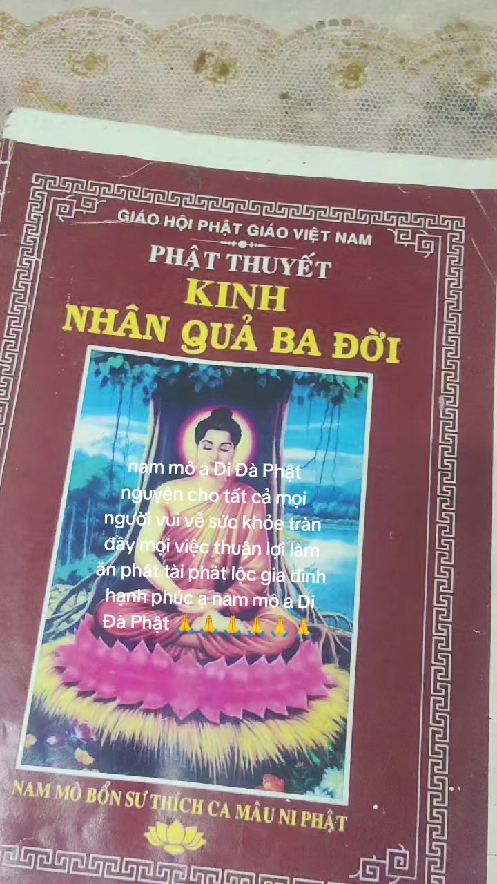 @nh&oacute;m tn diệu hạnh bỏ c&ocirc;ng sức
