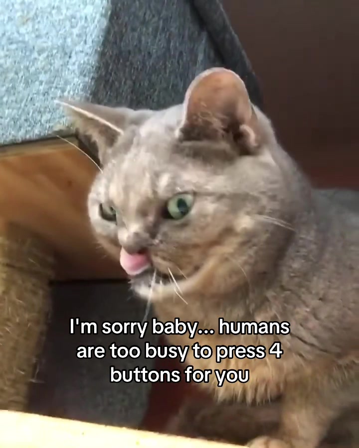 @Hope for Kindness