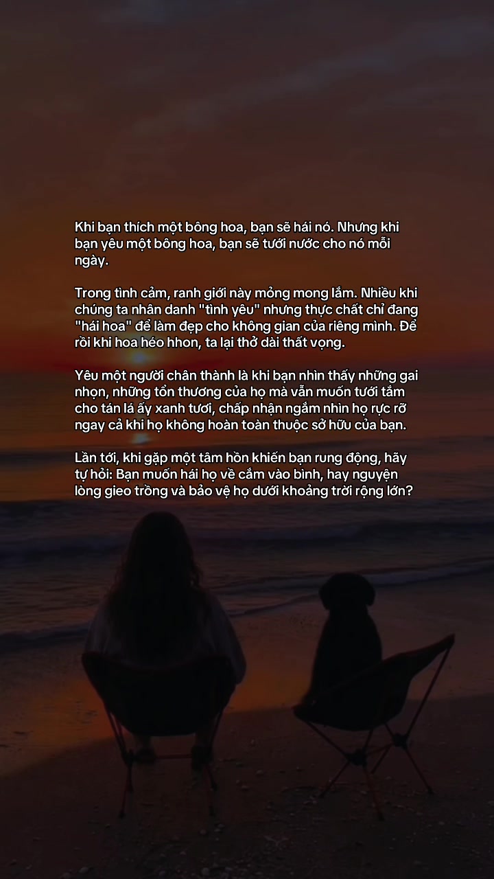 @M&egrave;o Trắng 😾