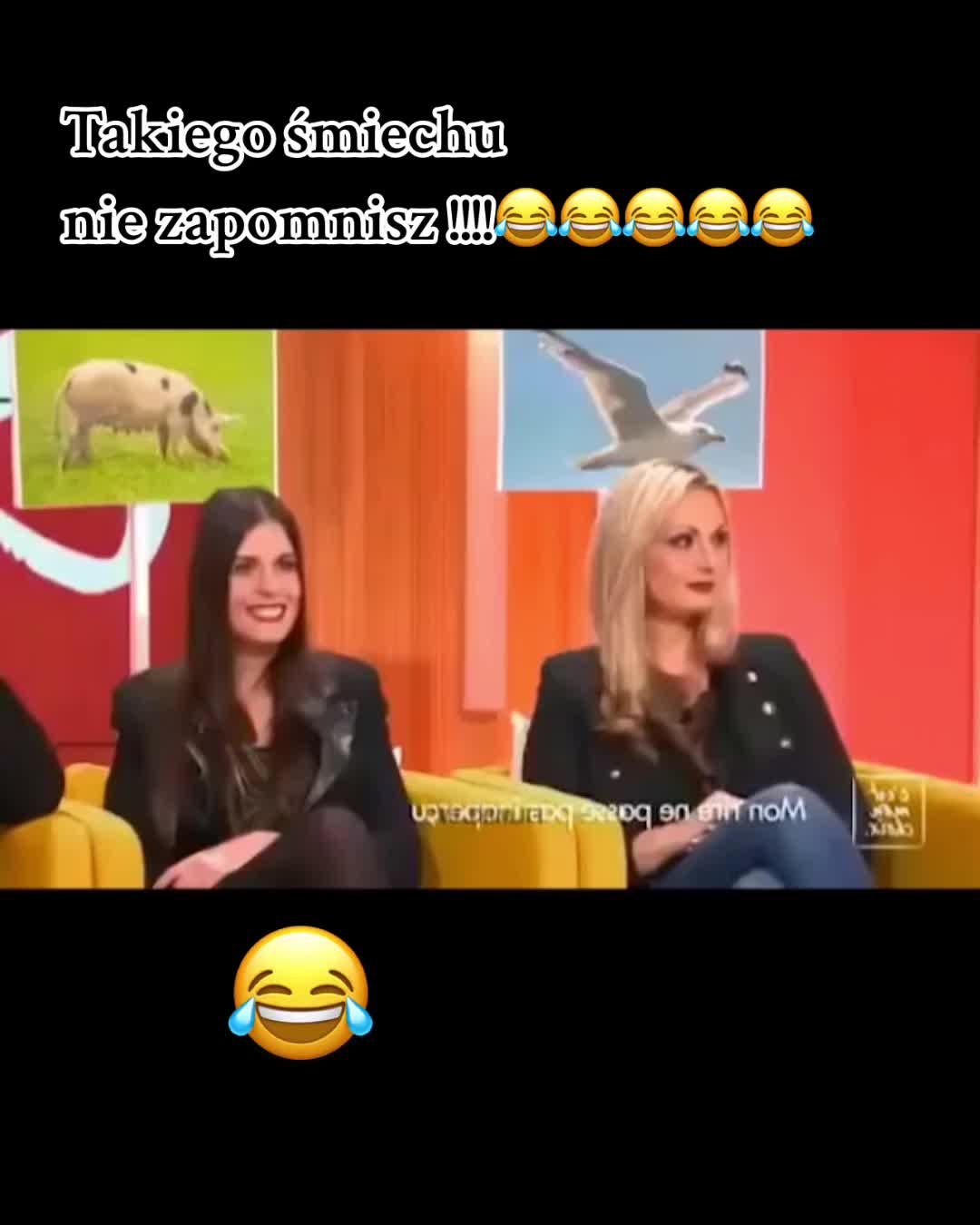 @Mortyll