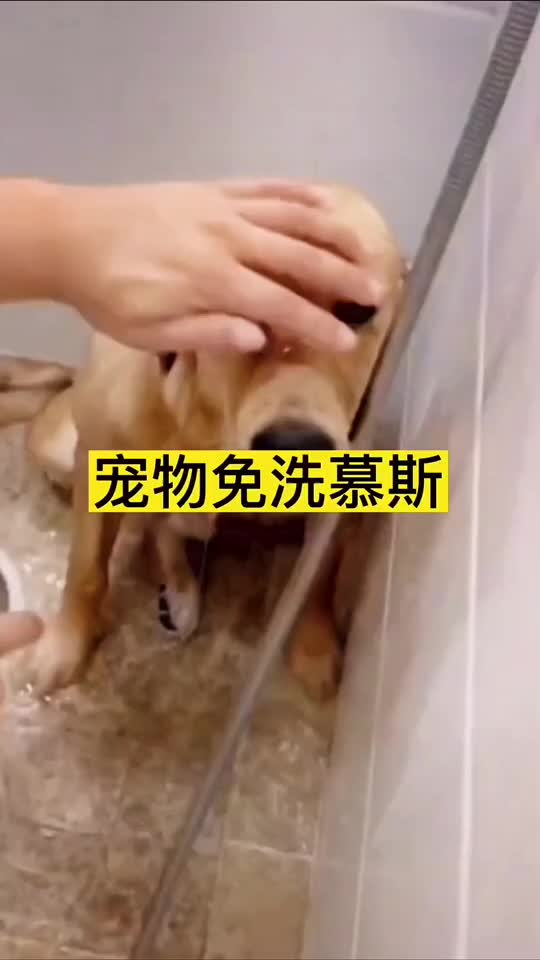 @Hashibingxin