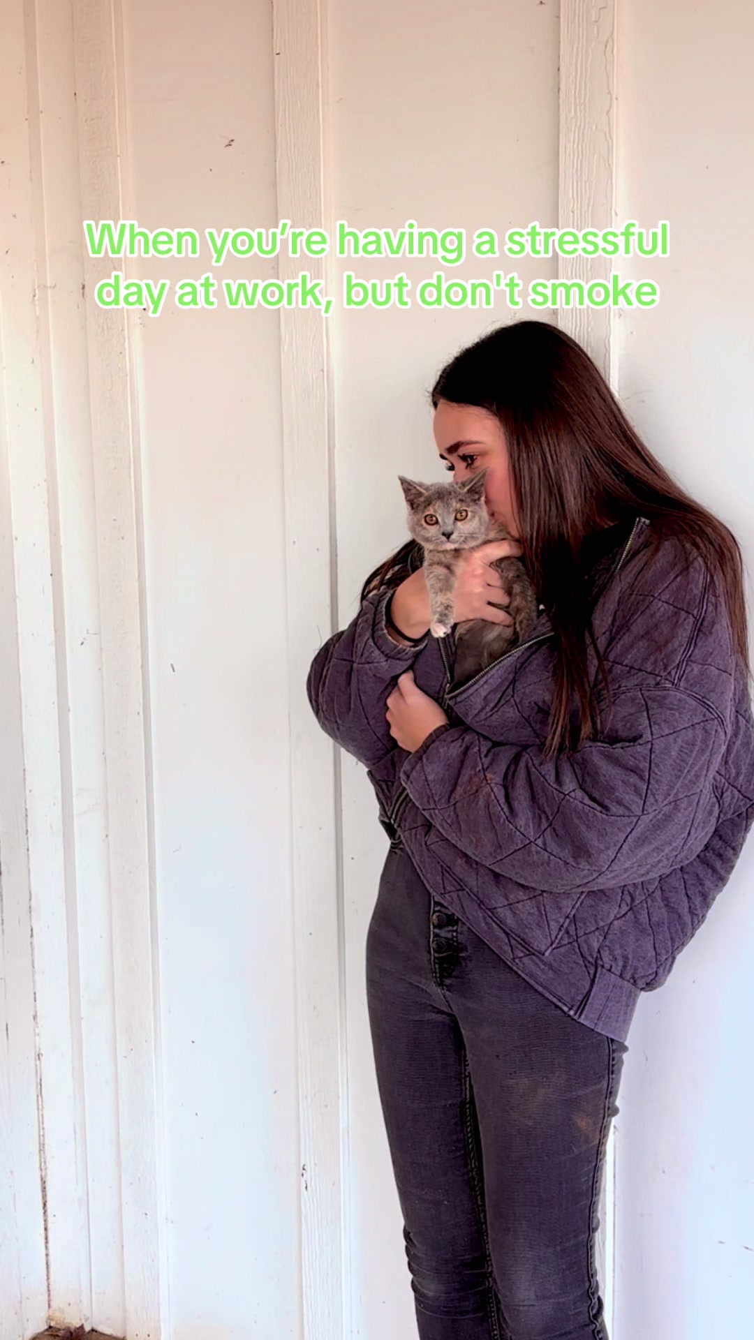 @Lynchburg Humane Society