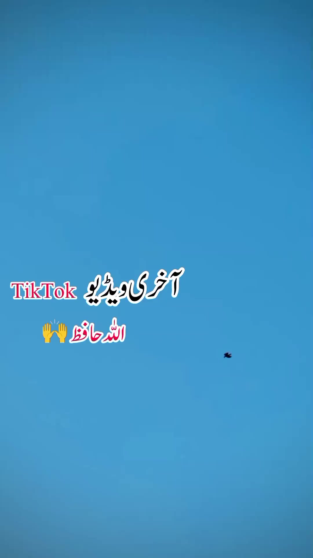 @👑Saqib Brand4055👑