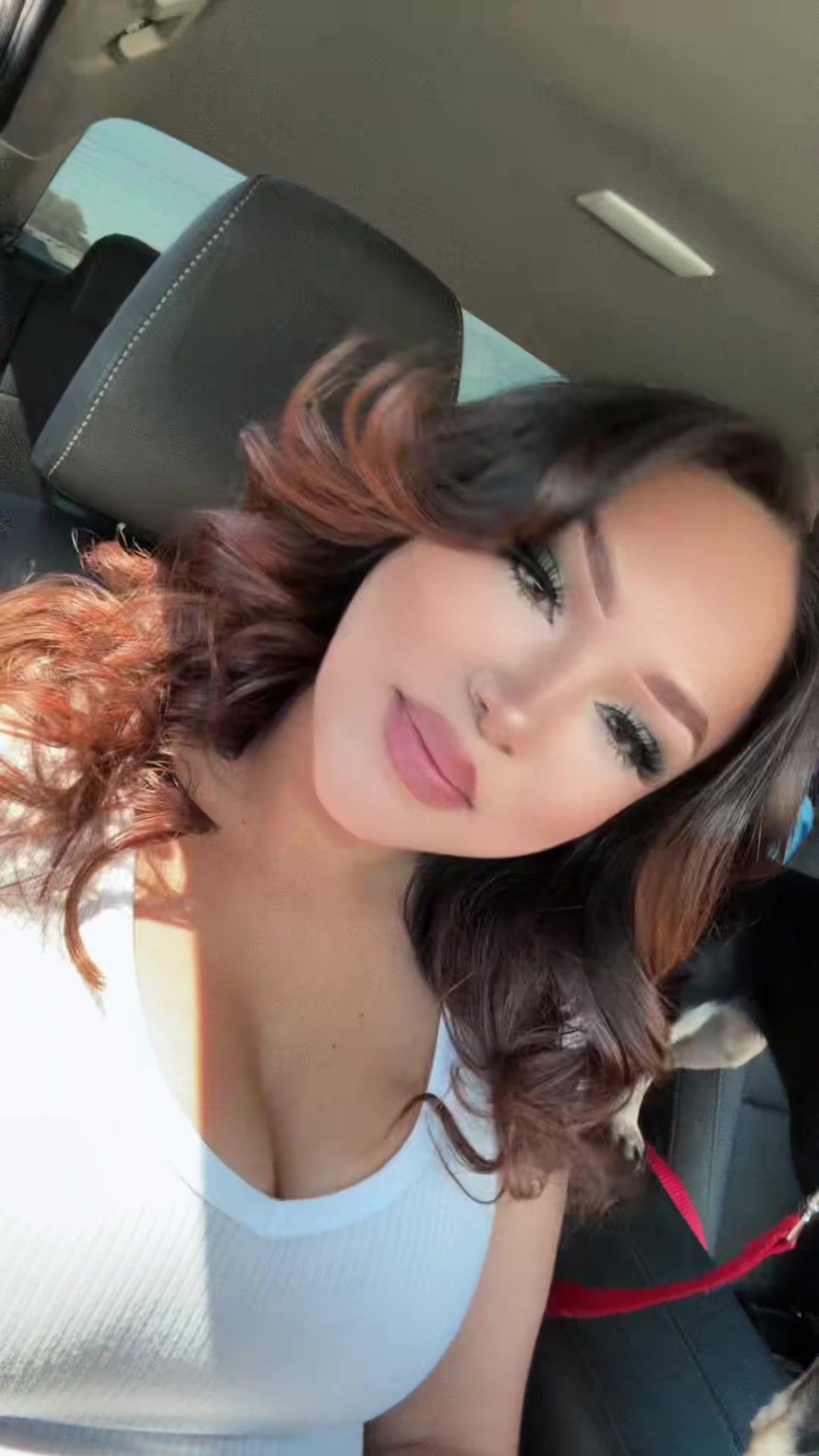 @_GG$MOMMA