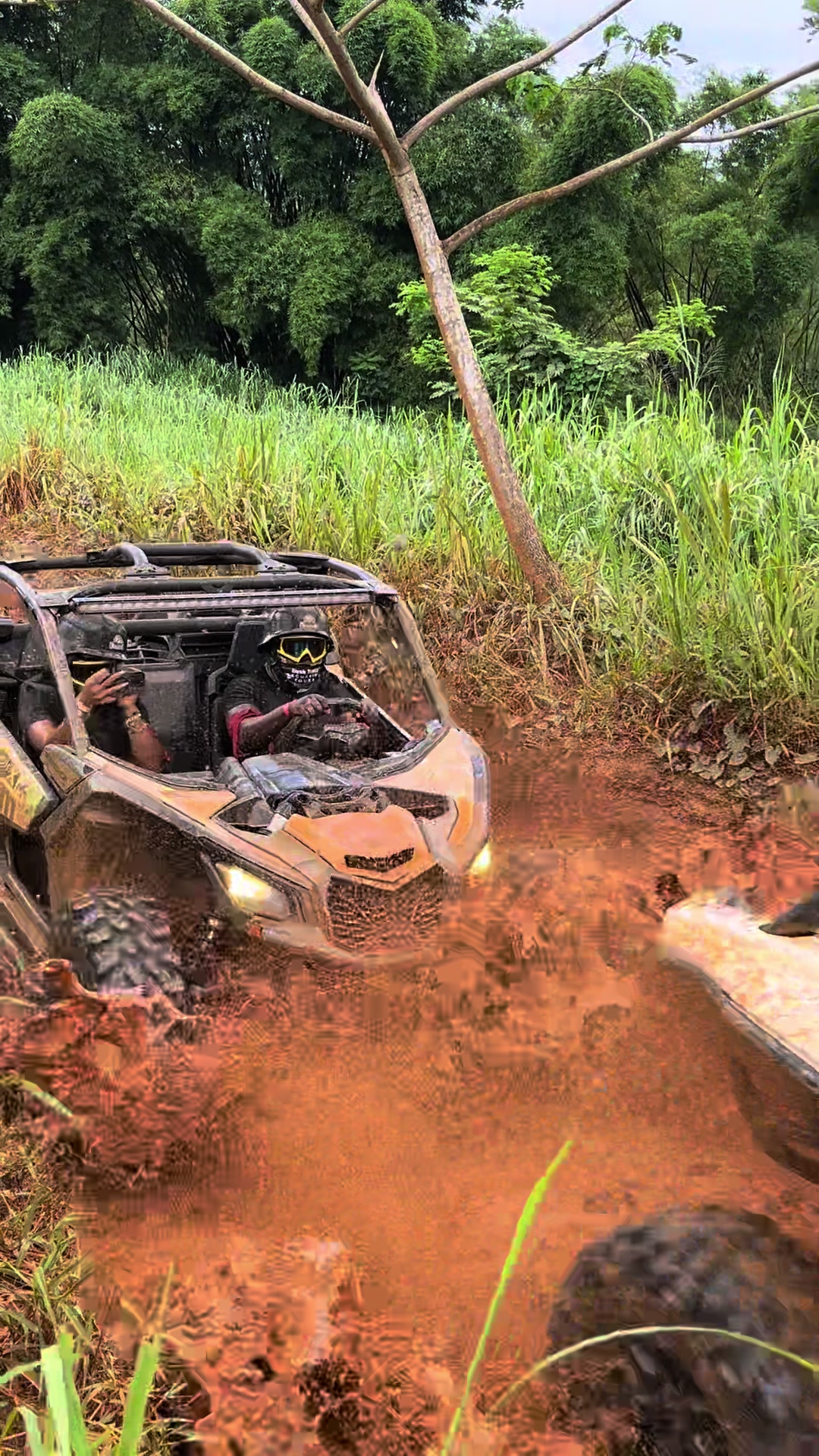@Bush Trails Excursion Tours