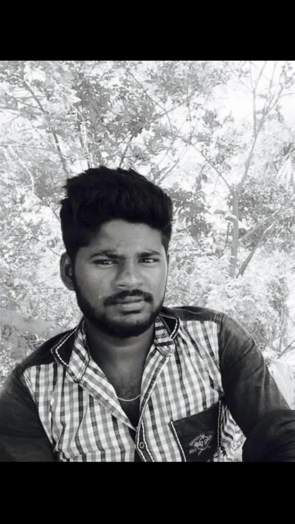 @user392562001433