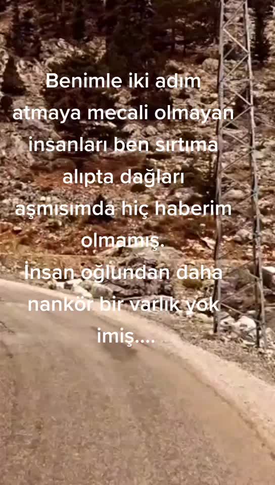 @Birdal Gencer