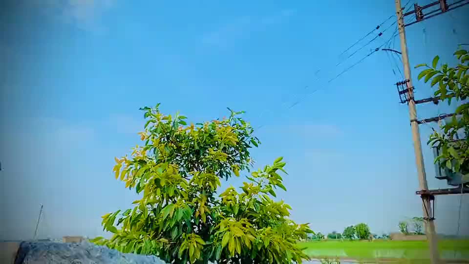@SONU KHATKAR