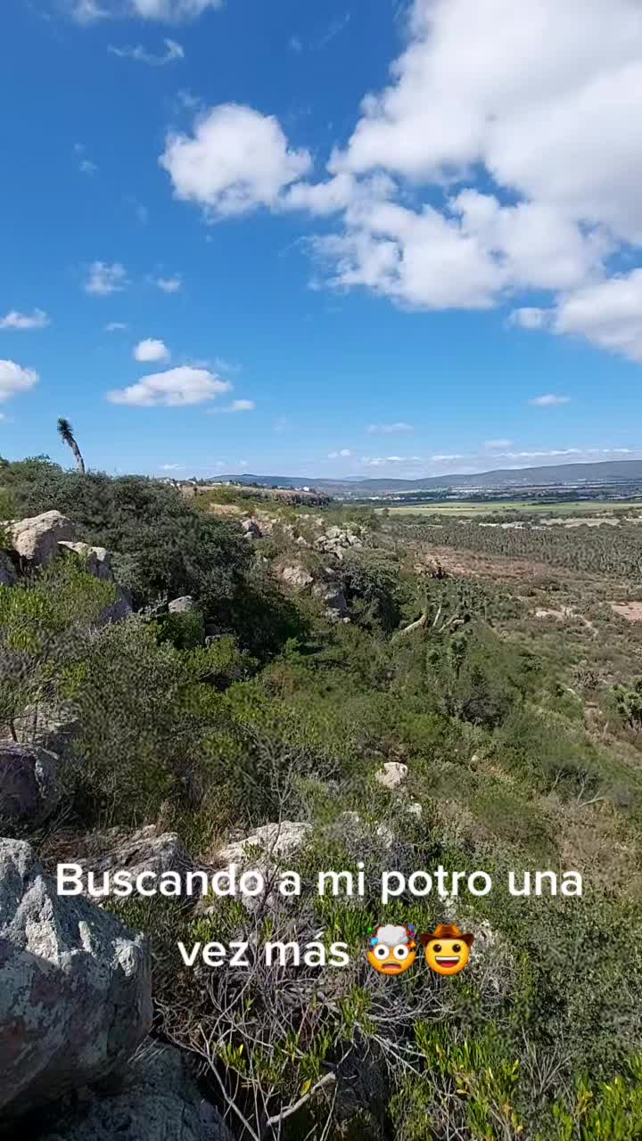 @Dario Olvera