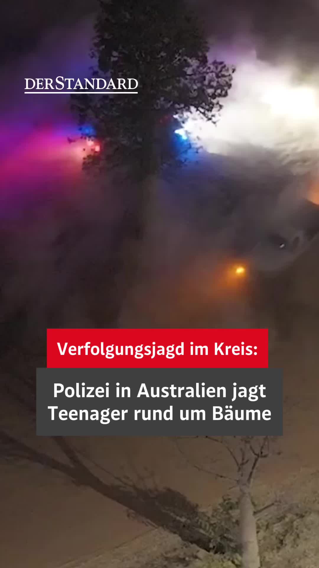 @DER STANDARD News