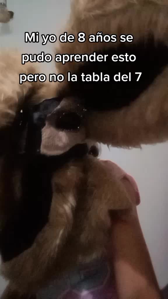 @Draco