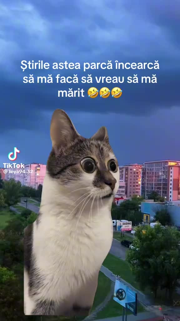 @Setriuc Mariana