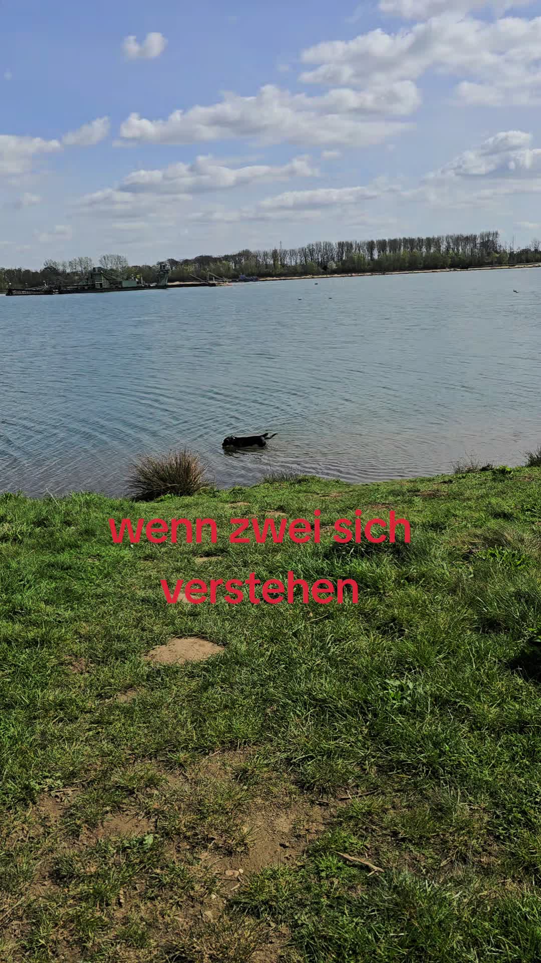 @AntonderBollerkopp