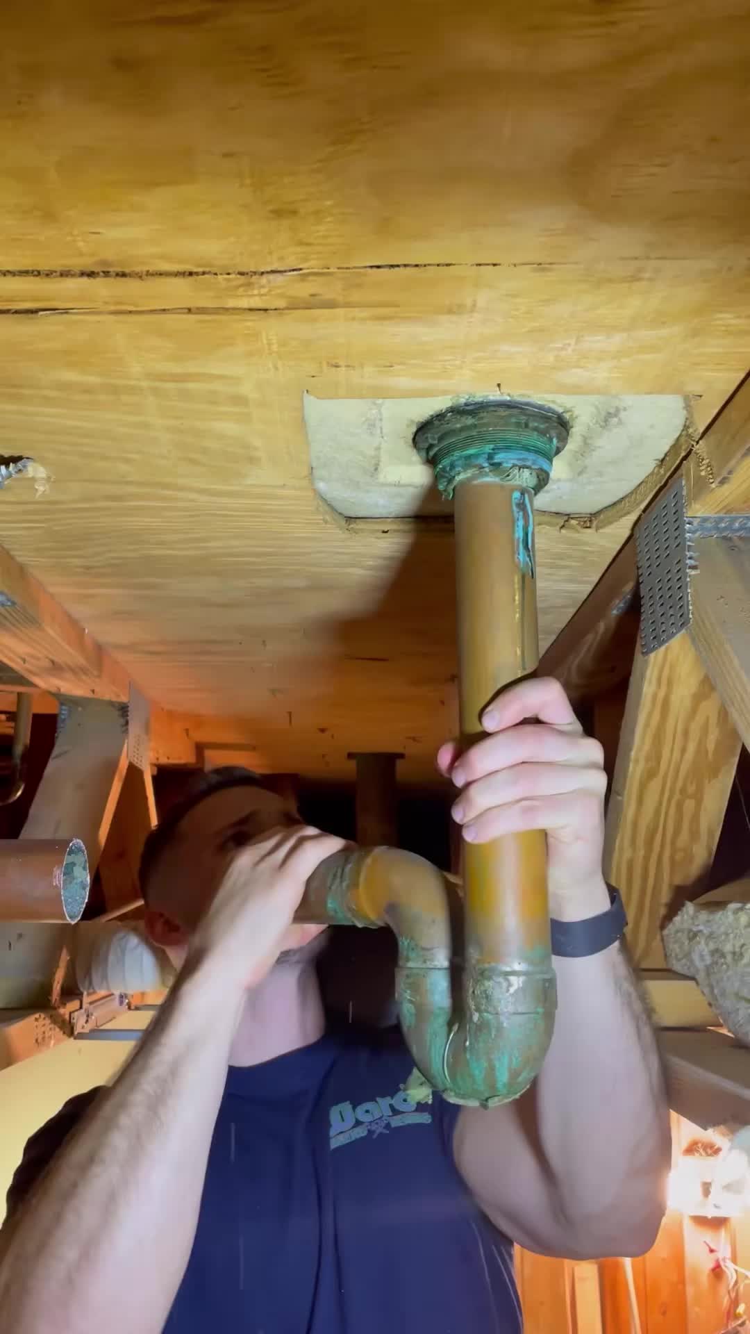 @The Conservative Plumber