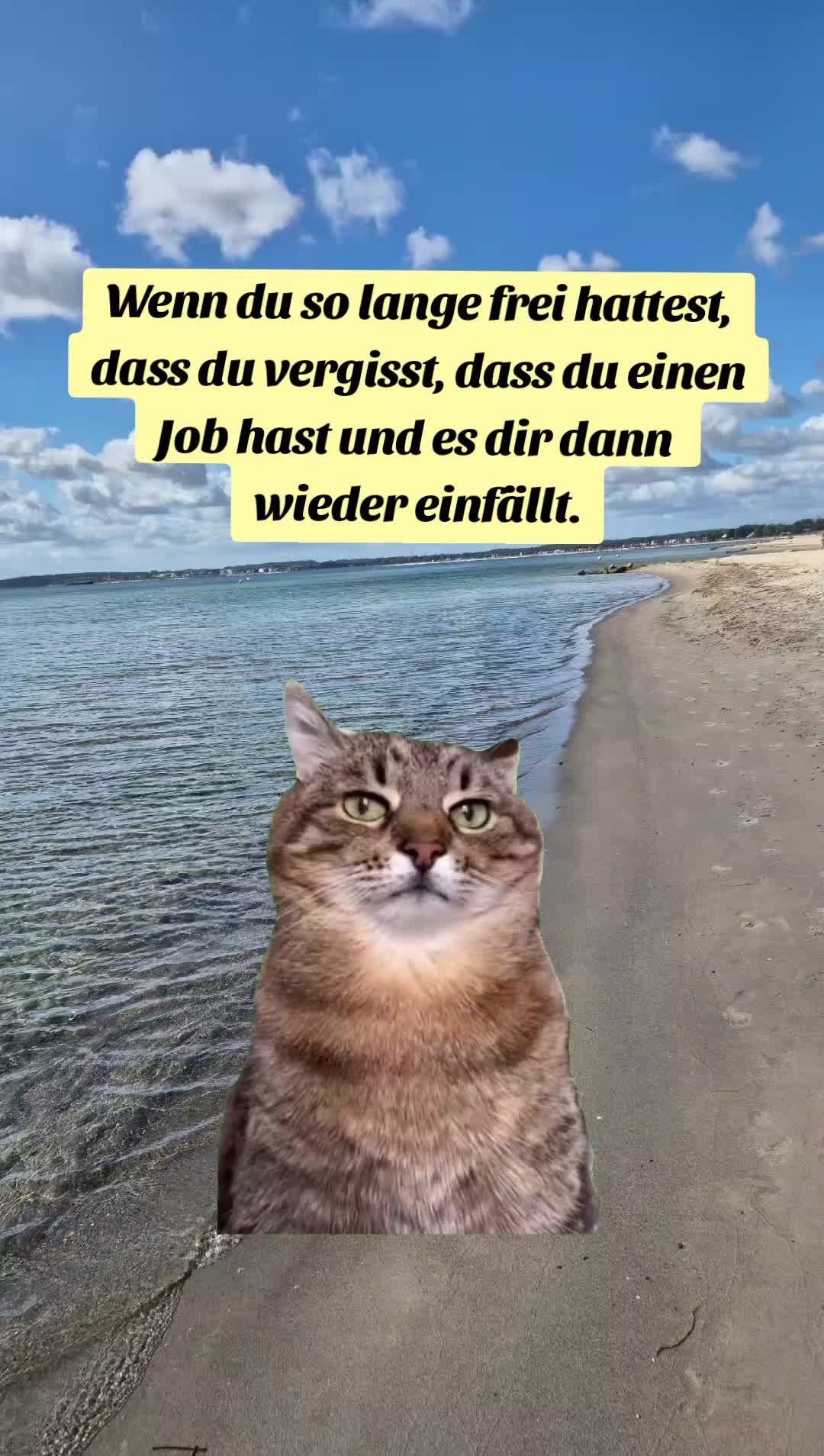 @KleineWeltGro&szlig;eFragen👶💞