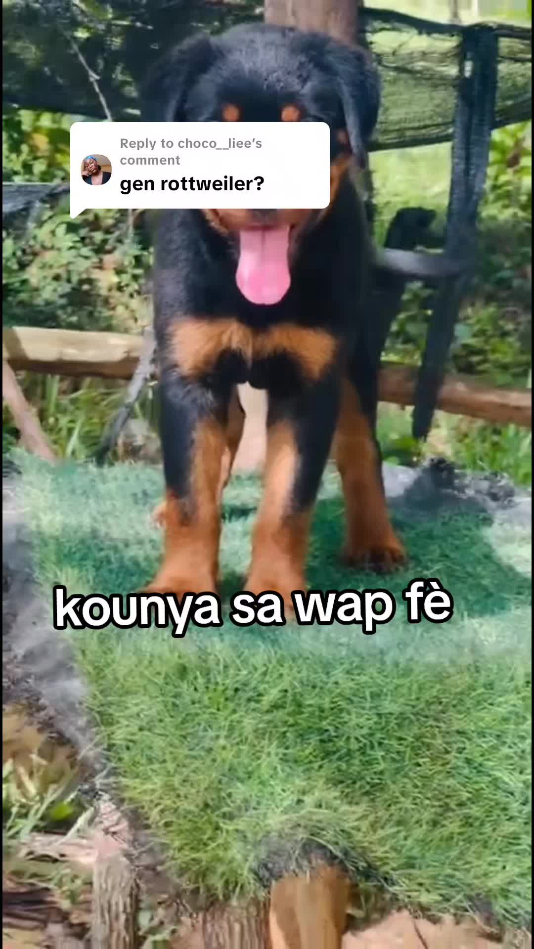 @Bendog