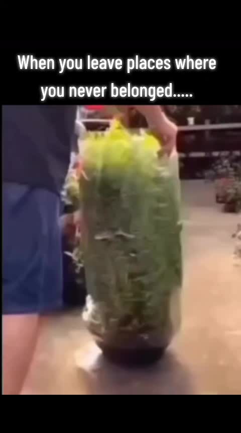 @Cassey Lynn