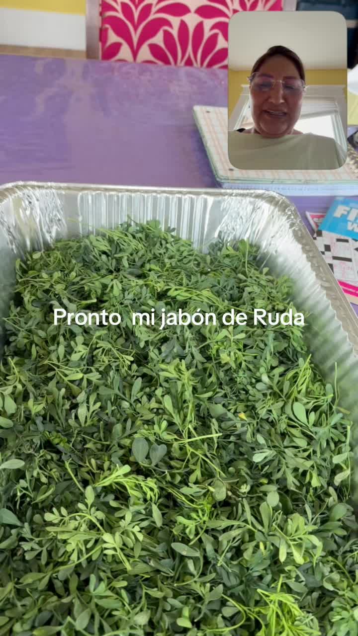 @Marysol