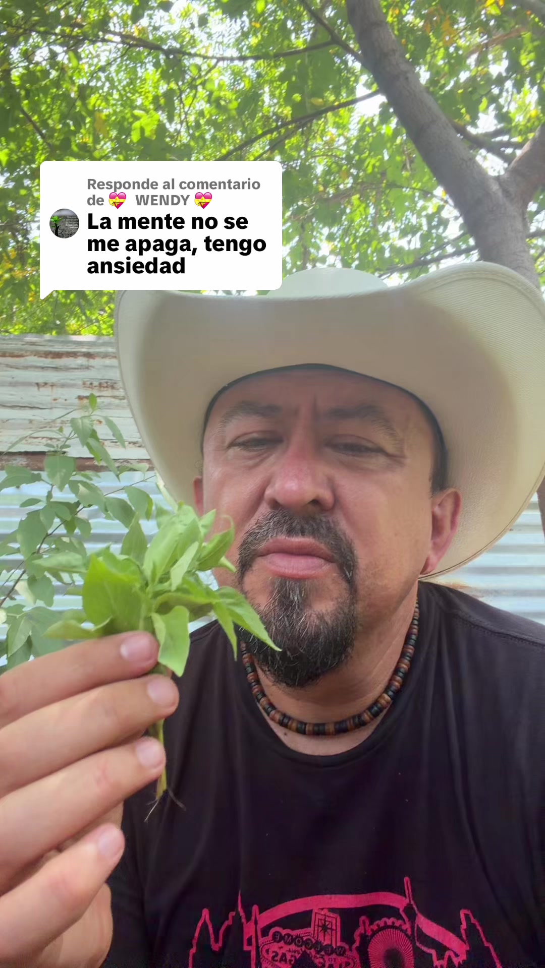 @ElHierbero