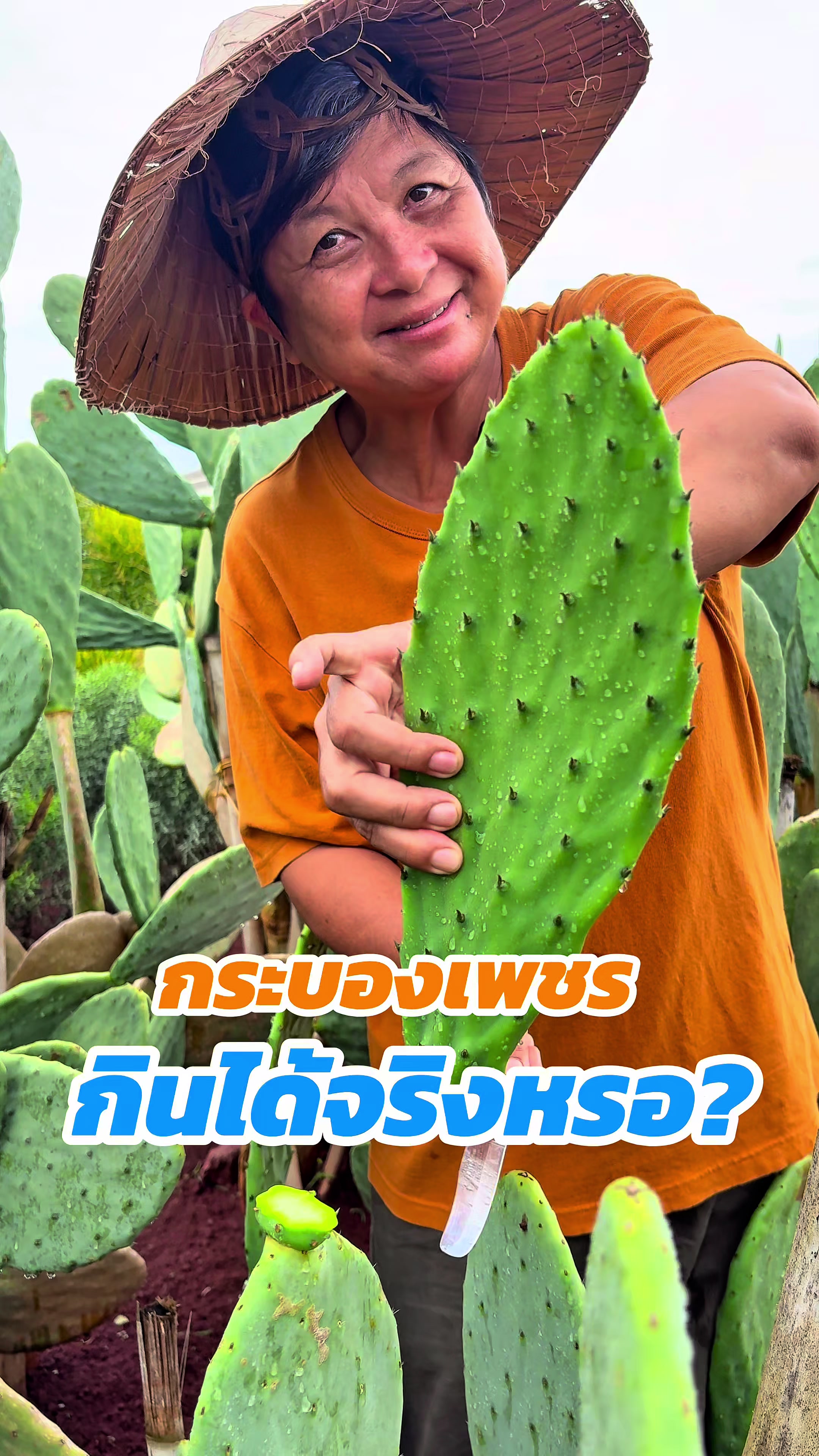 @ไร่วันยังขำ Oneyoungkham farm