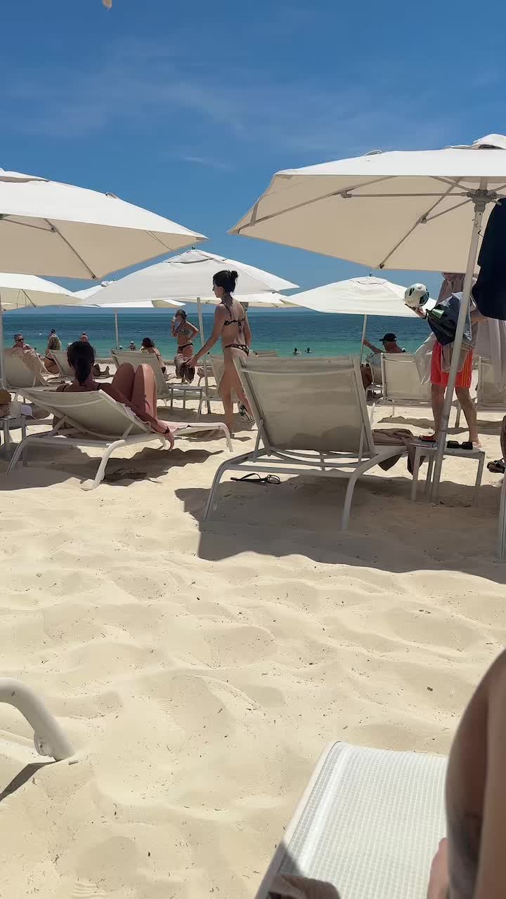 @lcatx