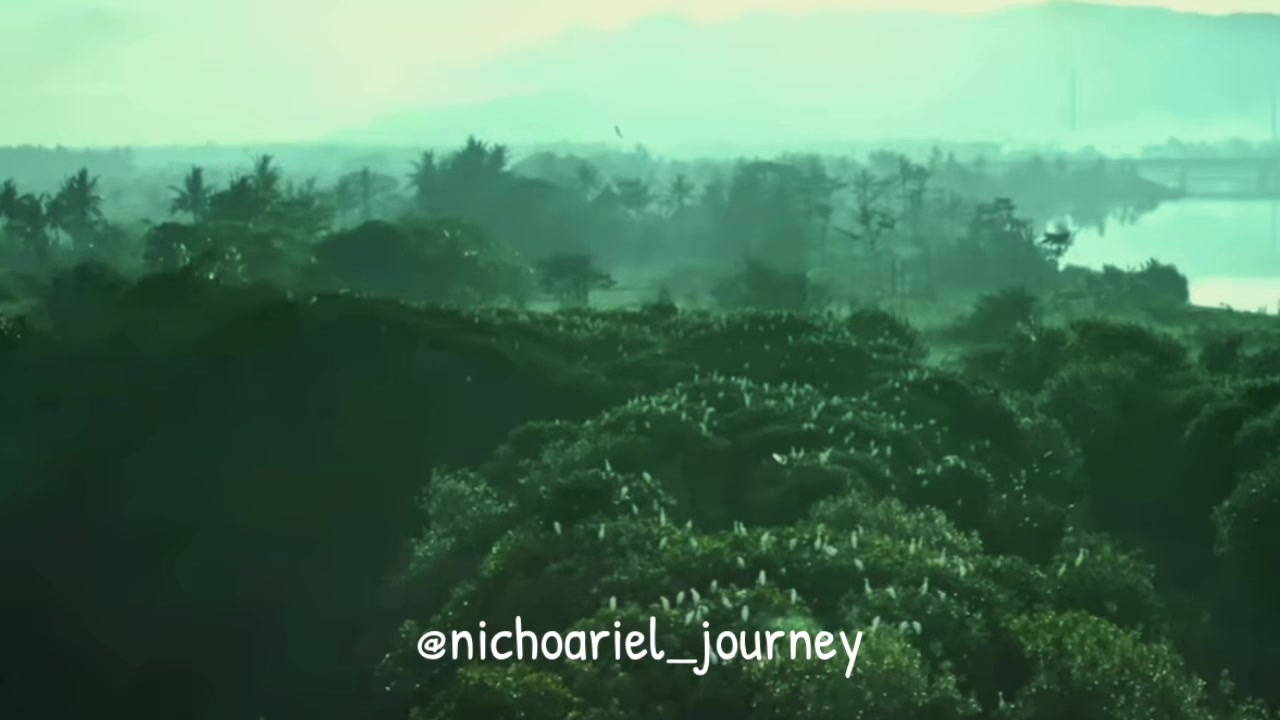 @Nicholassaputra_arieltatum