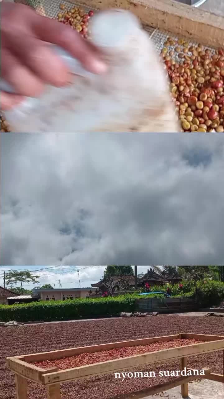 @Nyoman Suardana