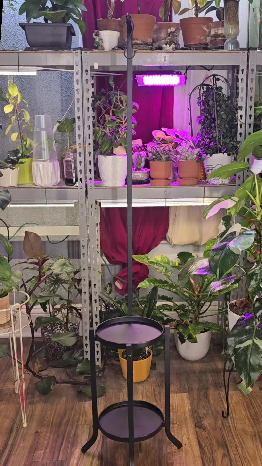 @JT - BigEGOPlants