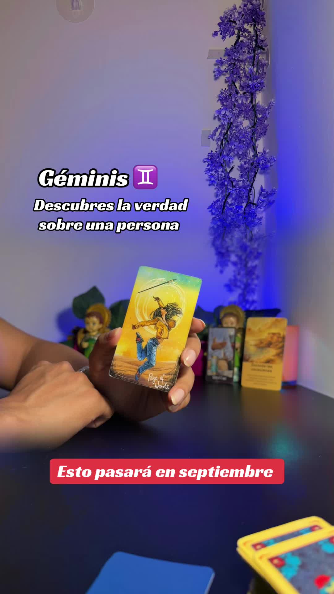 @camitarot77