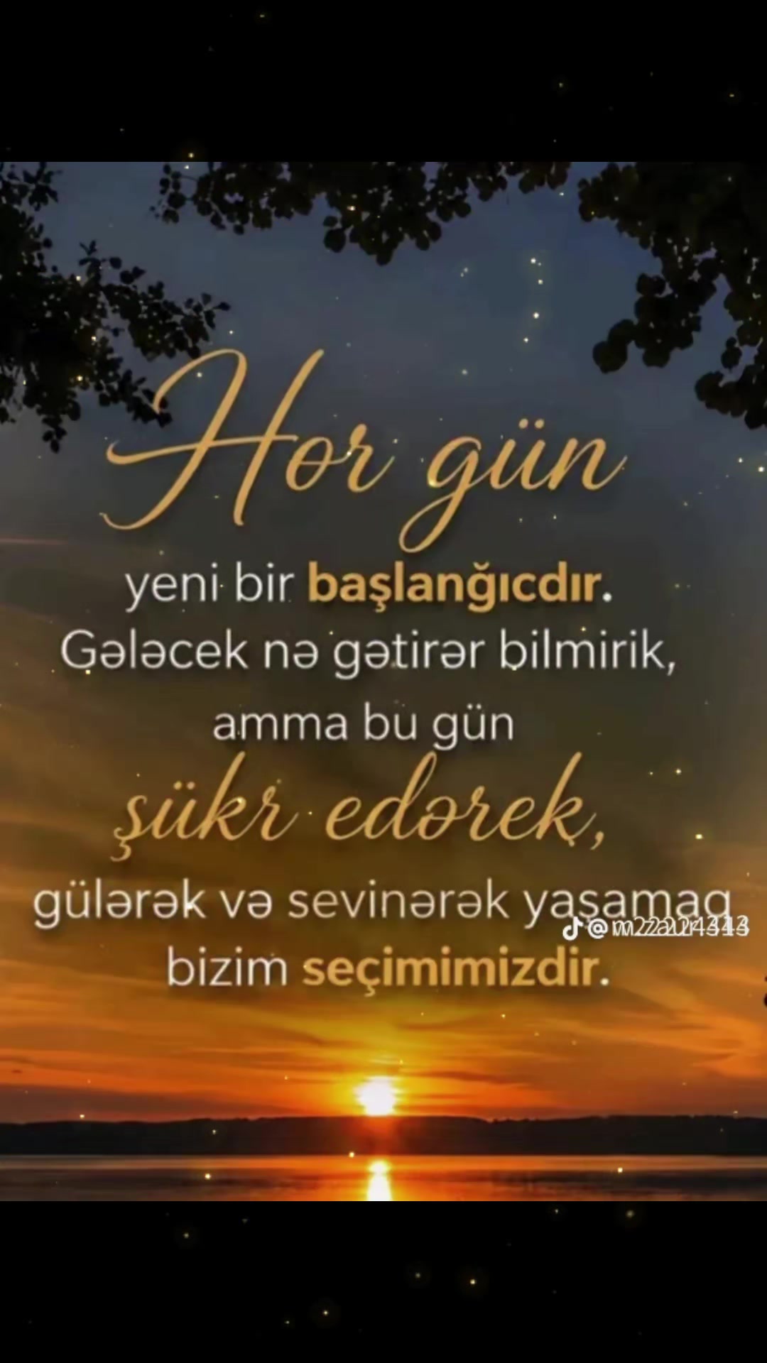 @Hayat⚘